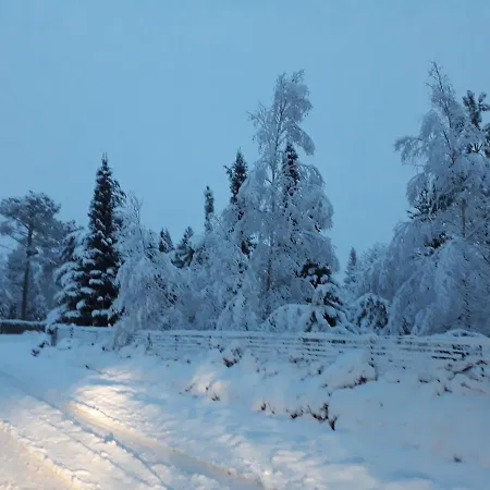 La Foret De Charmeuse Ruaudin