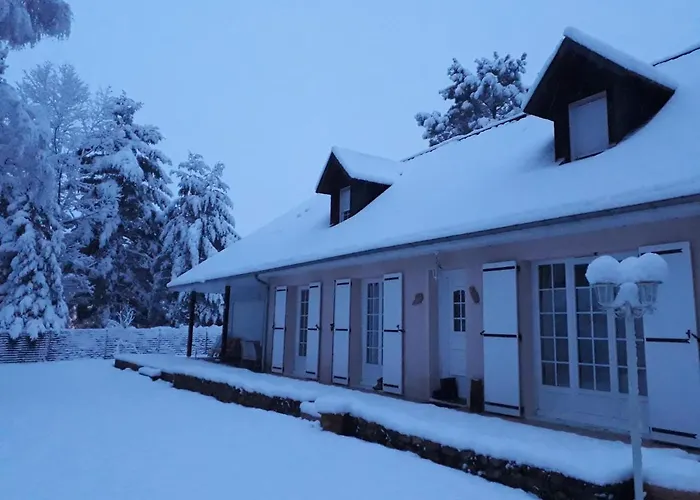 La Forêt De Charmeuse * Ruaudin