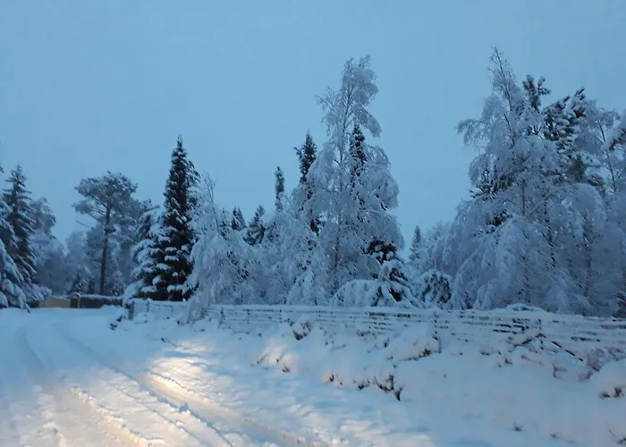 La Forêt De Charmeuse Ruaudin