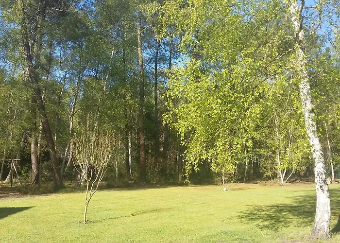 La Forêt De Charmeuse Alojamento de Acomodação e Pequeno-almoço *
