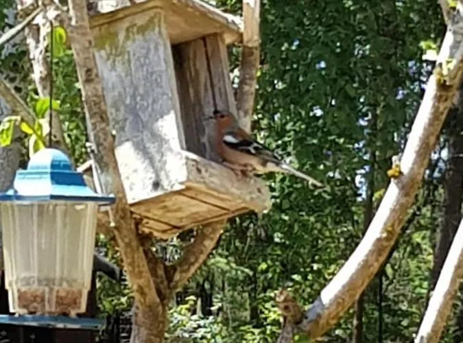 La Forêt De Charmeuse Alojamento de Acomodação e Pequeno-almoço